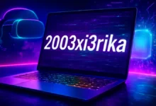 2003xi3rika
