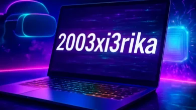 2003xi3rika