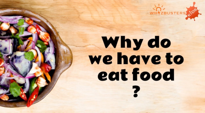 Why do we need food