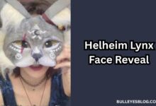 Helheim Lynx Face Reveal
